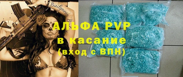 сатива Вяземский