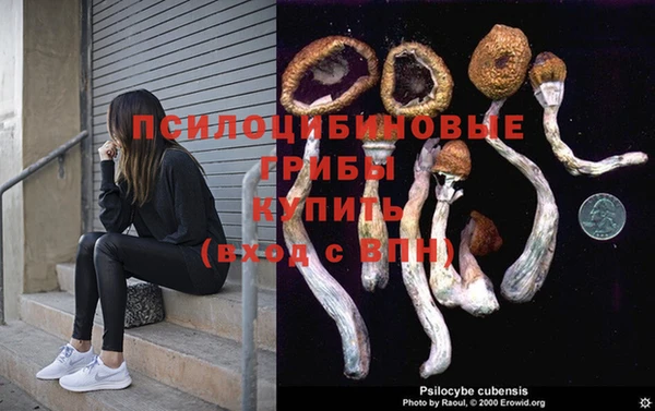 тгк Вязьма