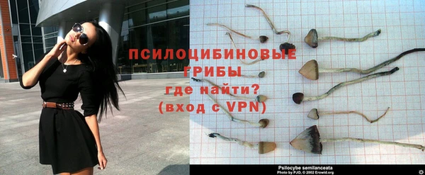 сатива Вяземский