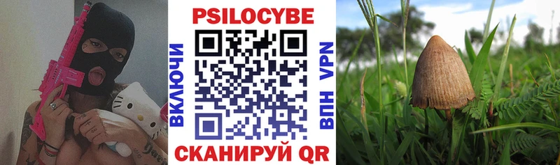 Галлюциногенные грибы GOLDEN TEACHER  Западная Двина 