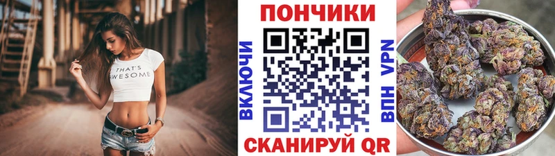 Конопля семена  Западная Двина 